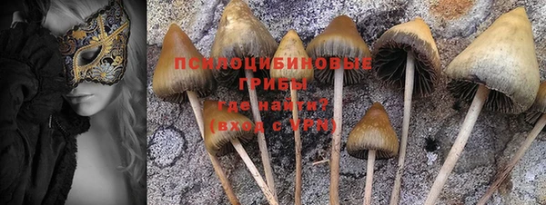 МДМА Протвино