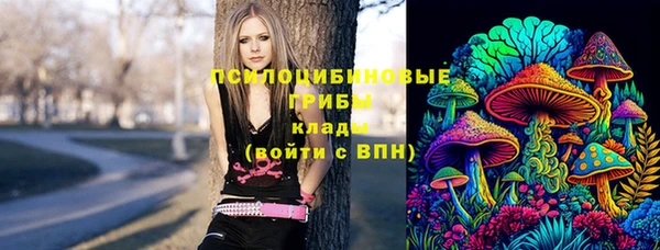 сатива Приозерск